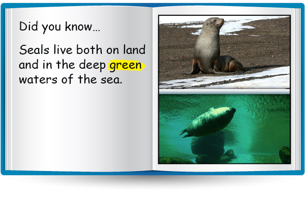 storybook slide2