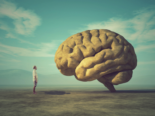 A conceptual image of a man in a landscape looking at a human brain that is taller than he is