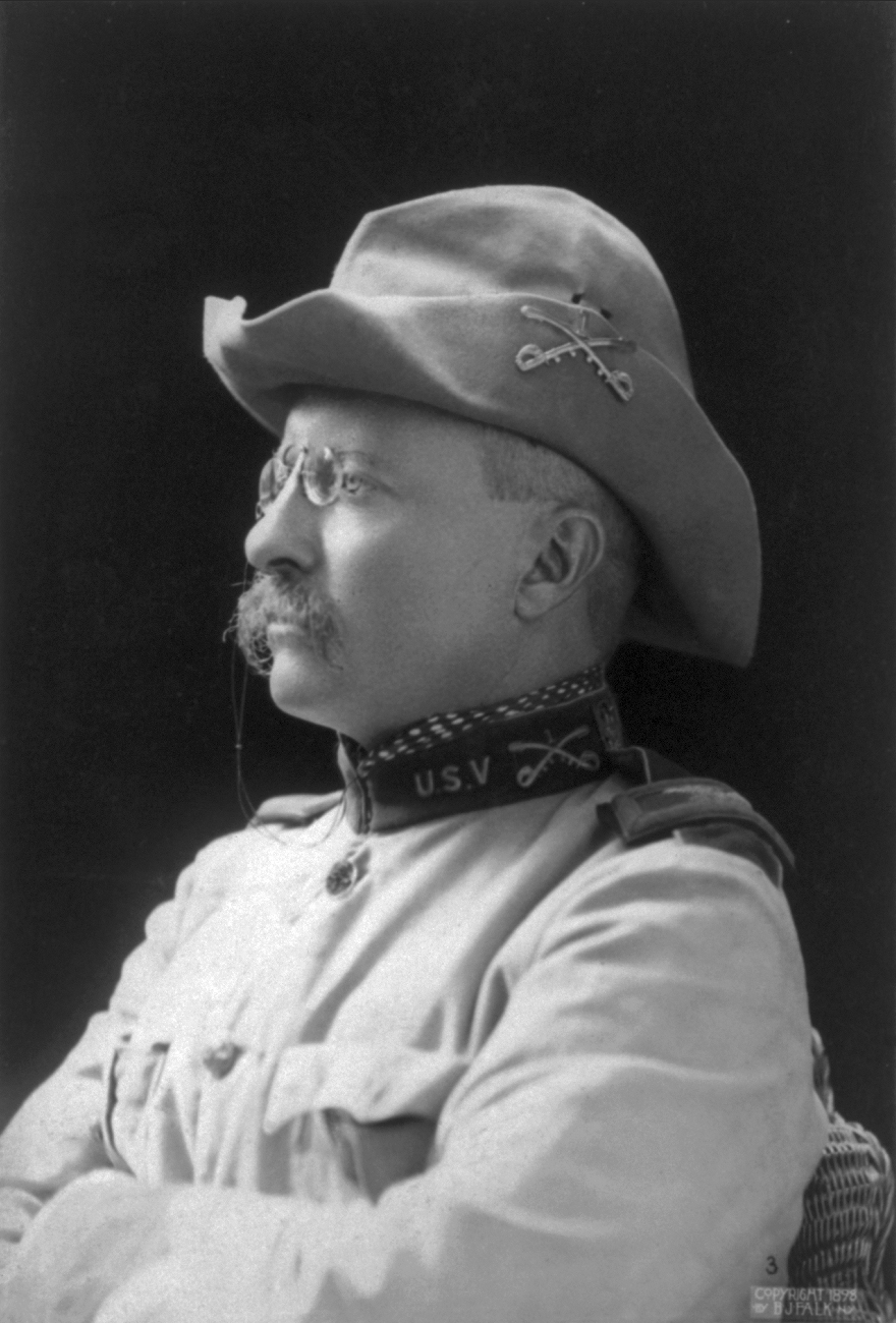 Portrait of Roosevelt