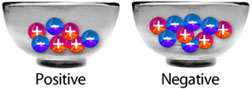 positive and negative