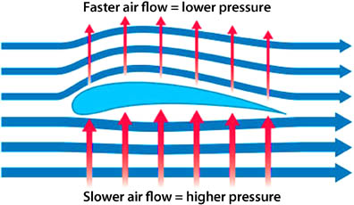 Diagram of an airplane wing. Most airplane and bird wings are in the shape of an airfoil. 