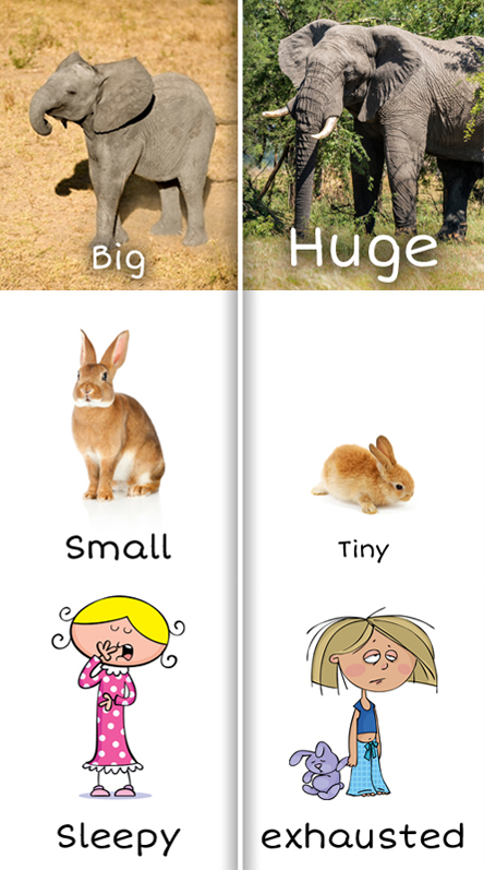 Big, huge, small, tiny, sleepy, and exhausted