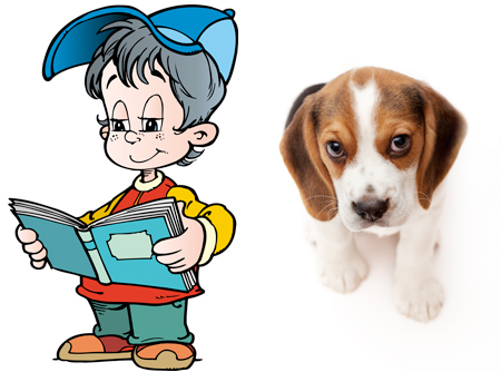Boy reading and a puppy next to him