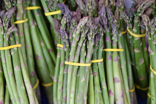 Bunches of green asparagus fixed by yellow rubber bands on a market in Spain.