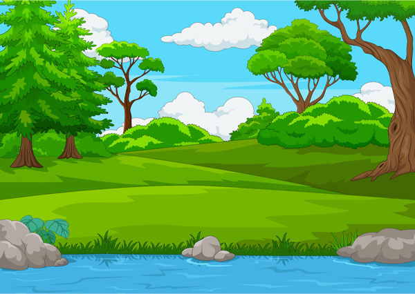 Forest scene with many trees and river