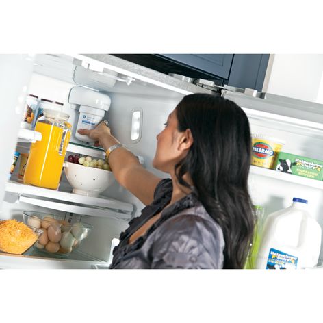 GE® MWF Water Filter