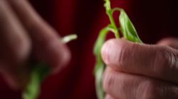 Monogram Pizza Oven B-Roll