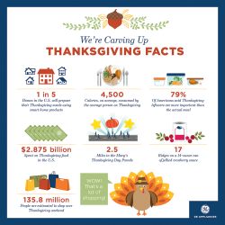 Thanksgiving Facts Infographic.