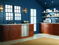 GE Appliances and Amazon Dash