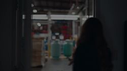 The Elevate Everything Project