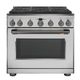 Stainless All Gas Range_Brushed Black