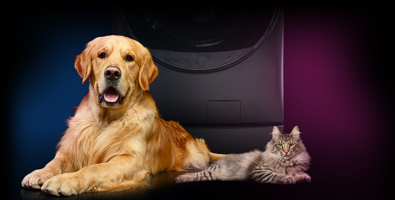 Pet Hair Remover delivers a better clean by removing pesky pet hair