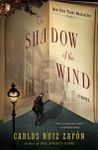 the-shadow-of-the-wind-1