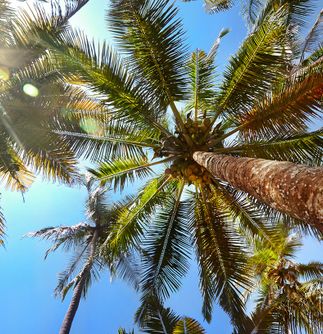 High Temperatures Expected in the Southland Through This Weekend