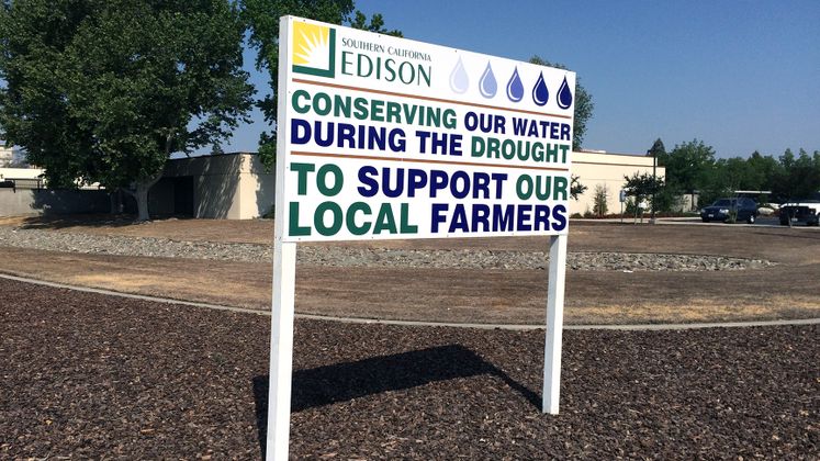 Drought and Agriculture