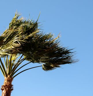 Don’t Let Strong Winds Blow Your Chance to Stay Safe 