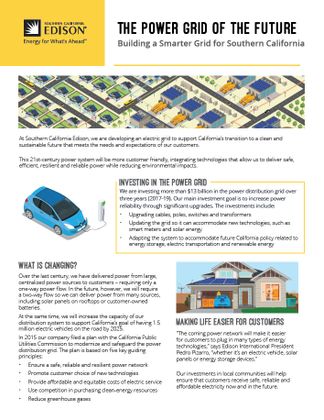 The Power Grid of the Future