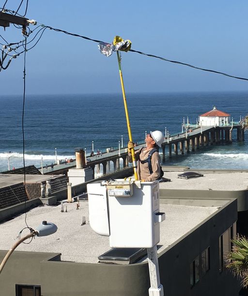 금속 풍선 관련 정전 문제 아직도 심각 