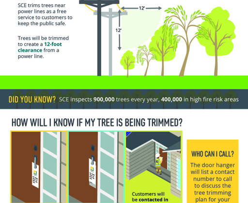 Vegetation+Management+Tree+Trimming+Fact+Sheet_Ver1__032819_phonenumber-01