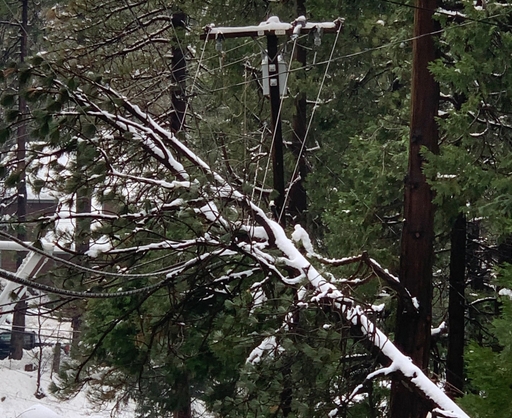 Arrowhead5_JenniferPotter_12-2-19_edit