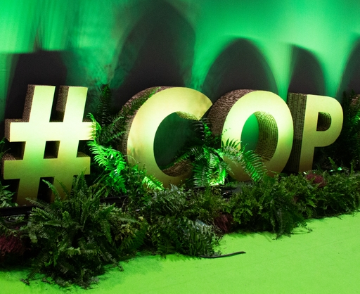 49179975321_e48d860044_o