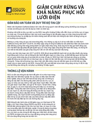 Wildfire Mitigation and Grid Resiliency (Vietnamese)