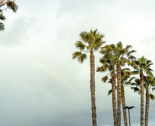 2021+WHITTIER+WEATHER-9349