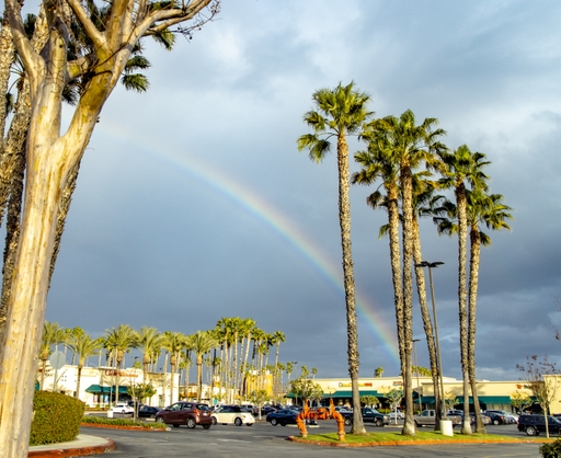 2021+WHITTIER+WEATHER-9338