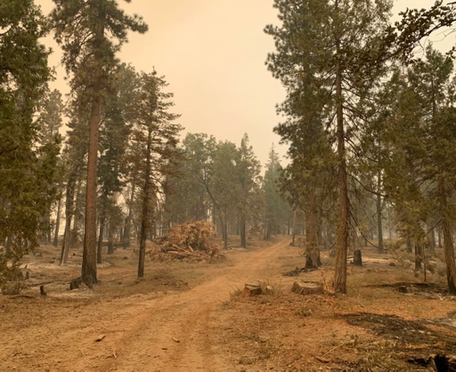 The Highway 168 Fire Safe Council implemented a fuel break on SCE grounds (West Shaver Lake).
