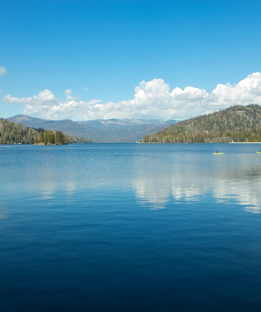 shutterstock_1347149567 cover