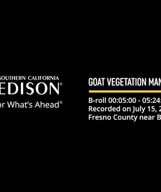 SCE_GOAT+VEGITATION+MANAGEMENT+B-ROLL cover