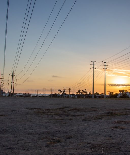 Plant+Power+Lines+Sunset cover