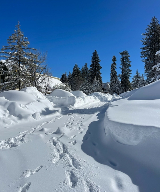 Snowy+Road cover
