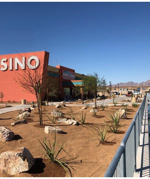 havasu-landing-resort-casino cover