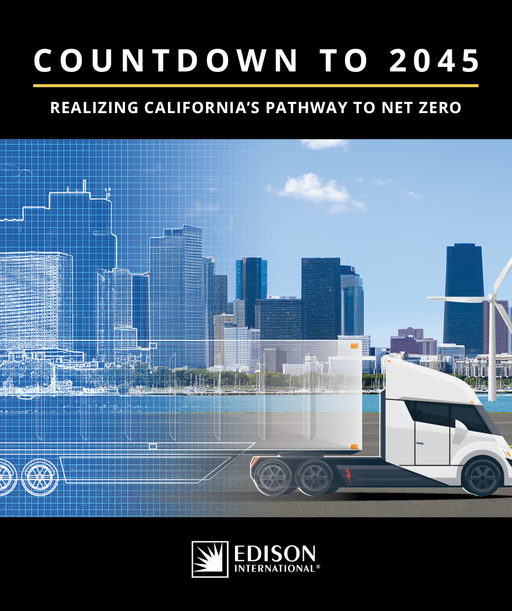 Countdown to 2045