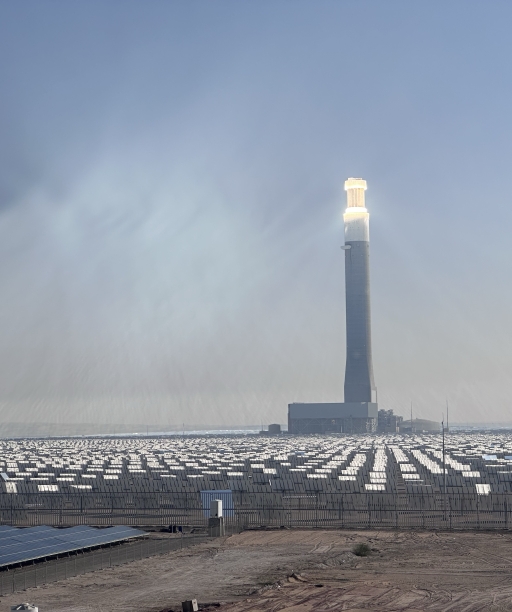 Solar+Farm+1+Caroline+Choi cover