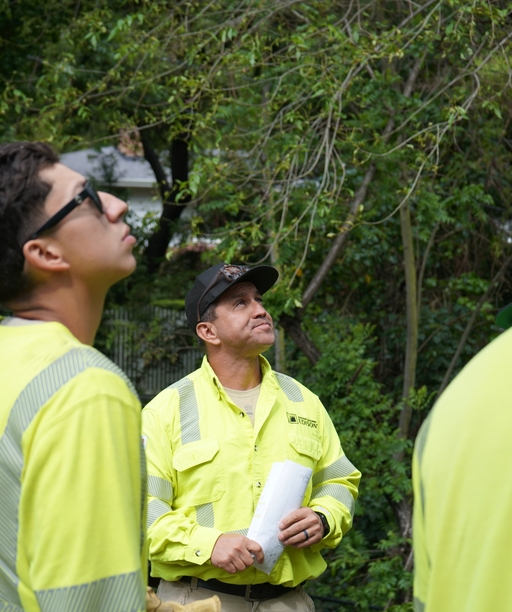 LinemanAppD-01 cover