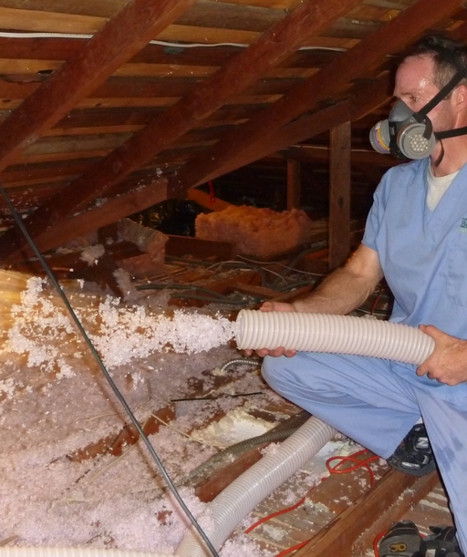 AtticInsulation cover