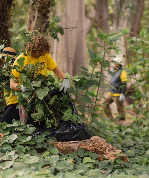Season+of+Service+Volunteer-9427 cover