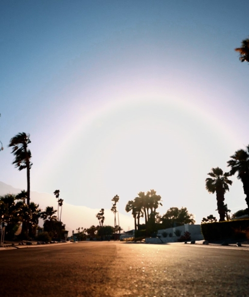 PALM+SPRINGS+1 cover