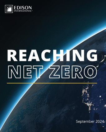 Reaching Net Zero