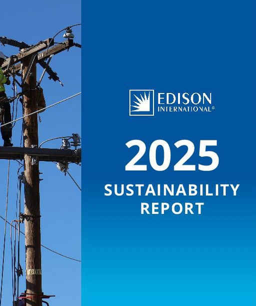 2025 Sustainability Report Summary cover