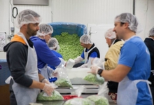 Regence_OR_WeekOfService Regence_OR_WeekOfService