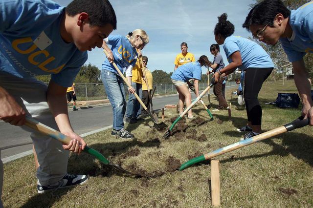 Volunteers at VA