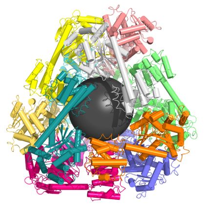 Molecular cage