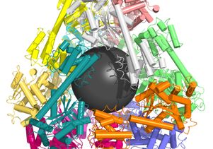 Molecular cage