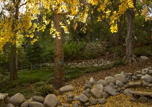UCLA’s Mildred E. Mathias Botanical Garden