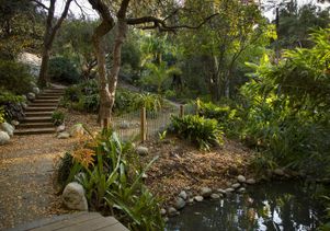 UCLA’s Mildred E. Mathias Botanical Garden