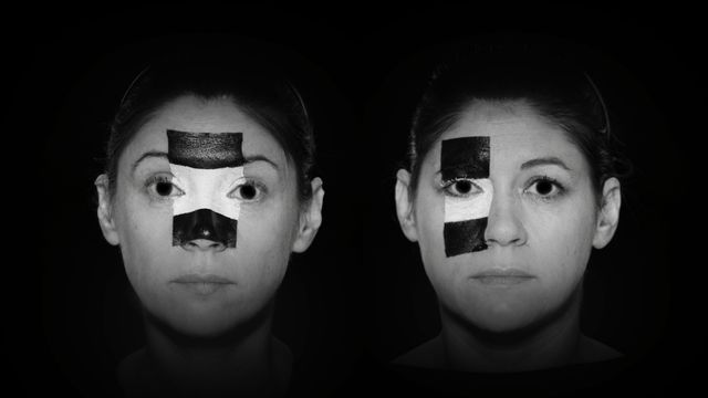 Jane and Louise Wilson, 'False Positives and False Negatives'