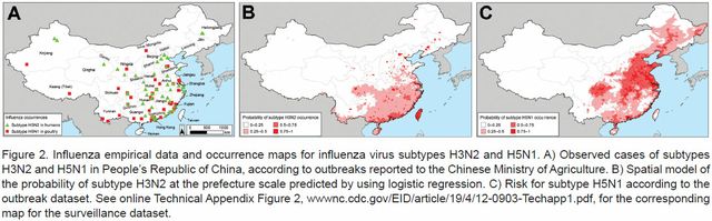 Bird flu and human flu in China